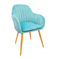 Sillón de Terciopelo...