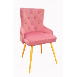 Sillón de Terciopelo...